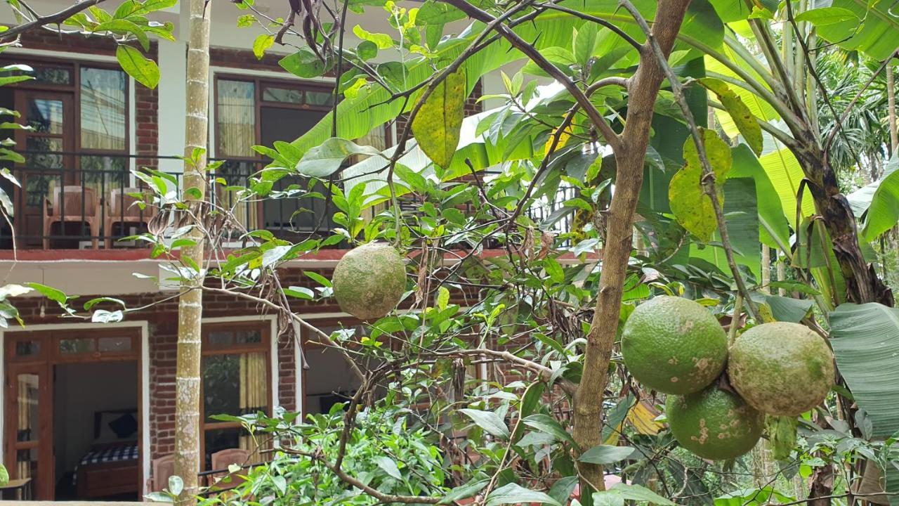 Eco Zone *