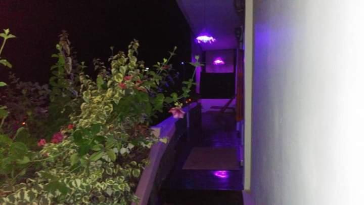 Homestay Private Only