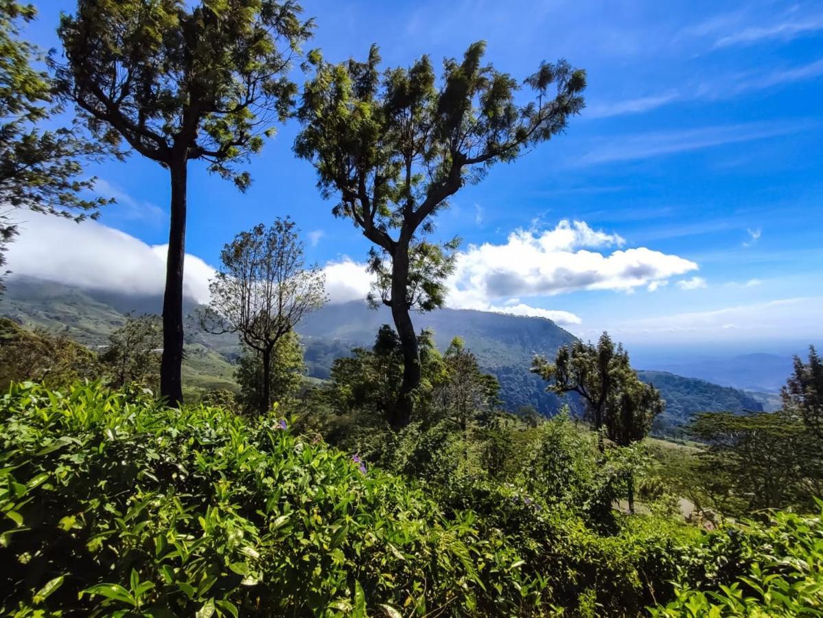 Eden View - Tour Options In The Area