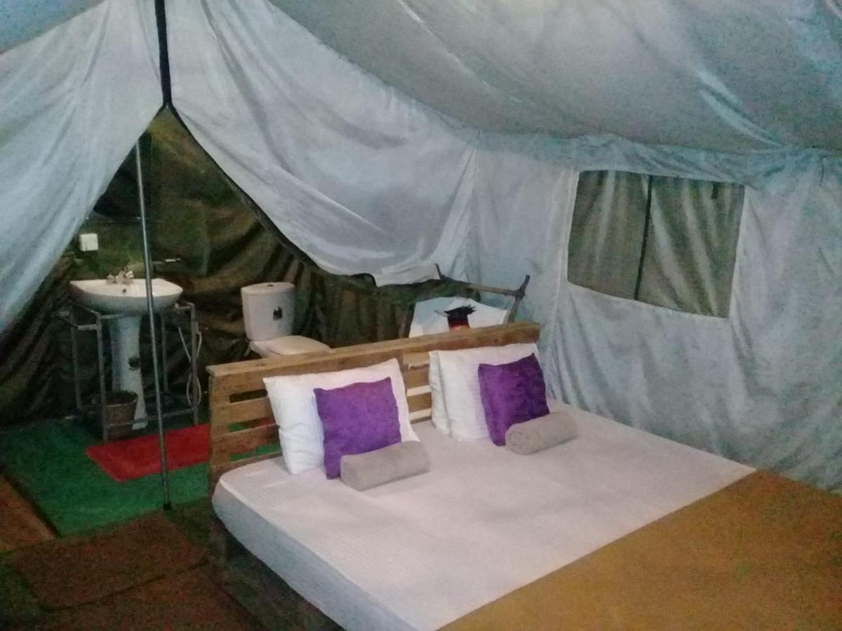 Luxury tent Glamping 3*