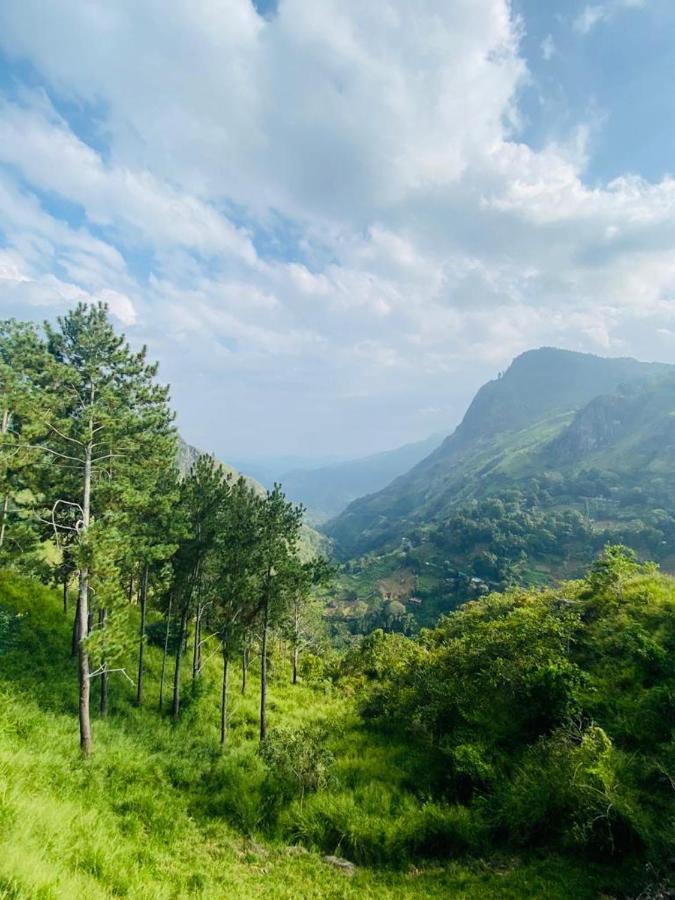 Misty Peak View