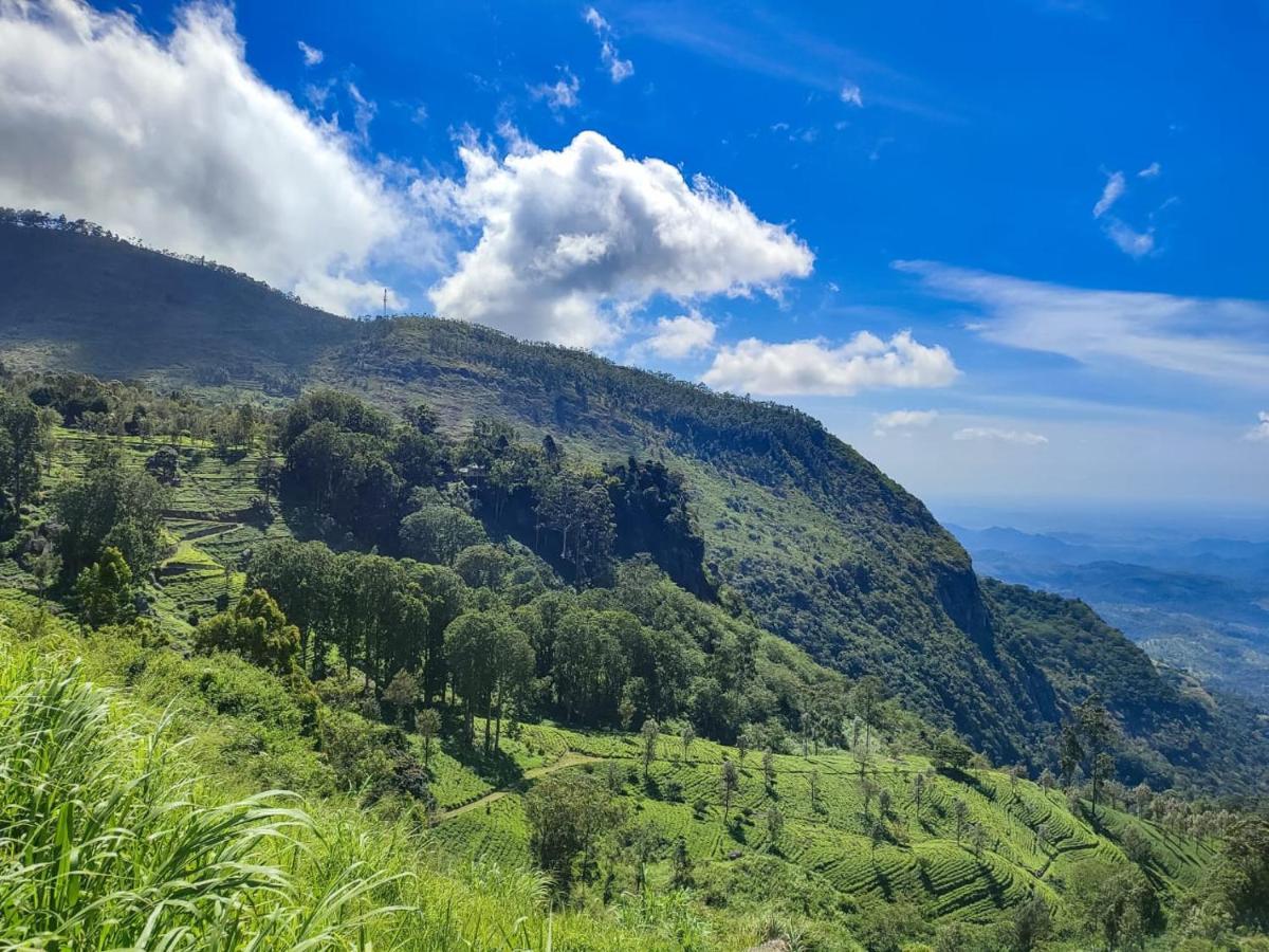 Eden View - Tour Options In The Area Ella