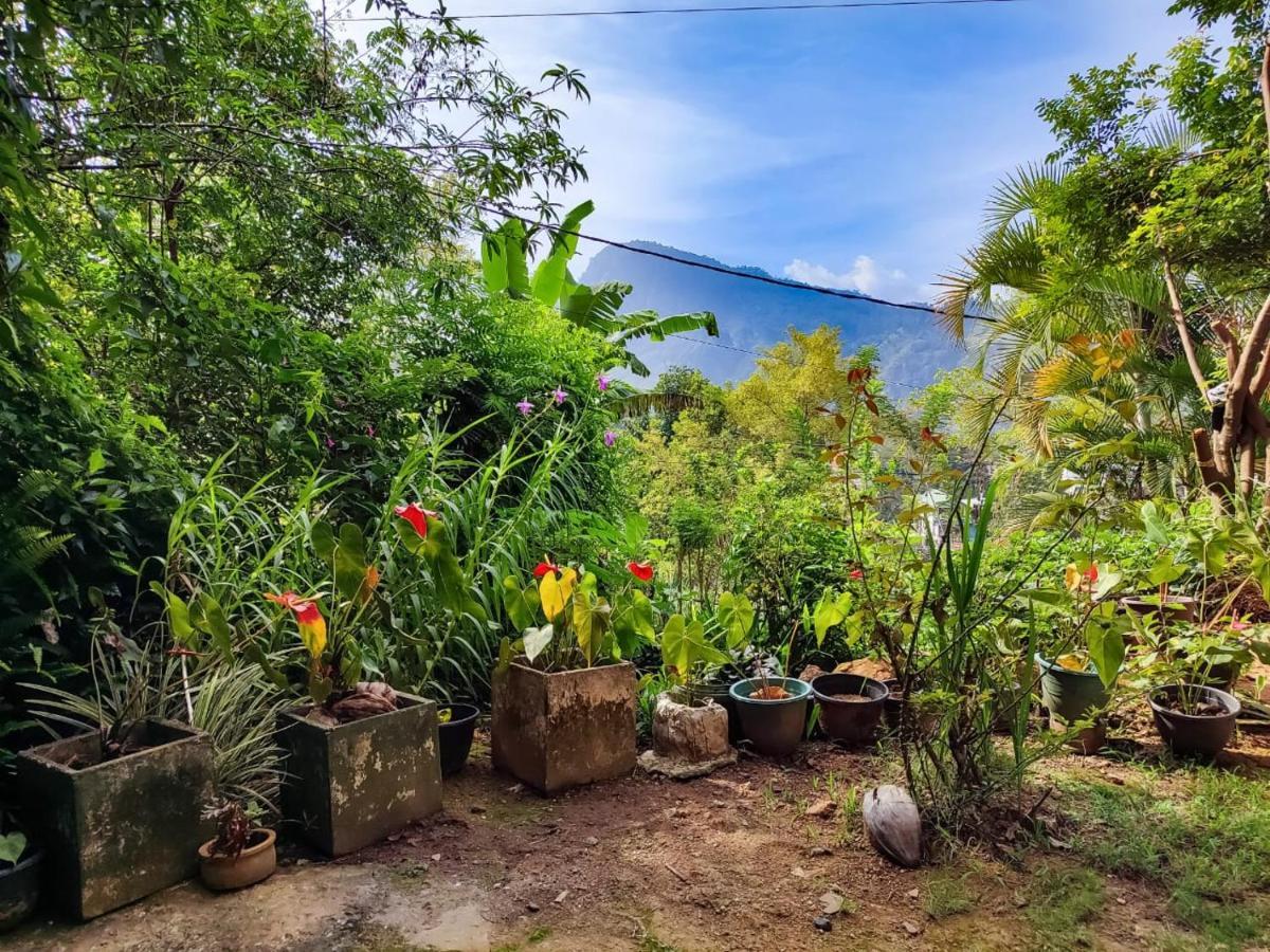 Eden View - Tour Options In The Area *