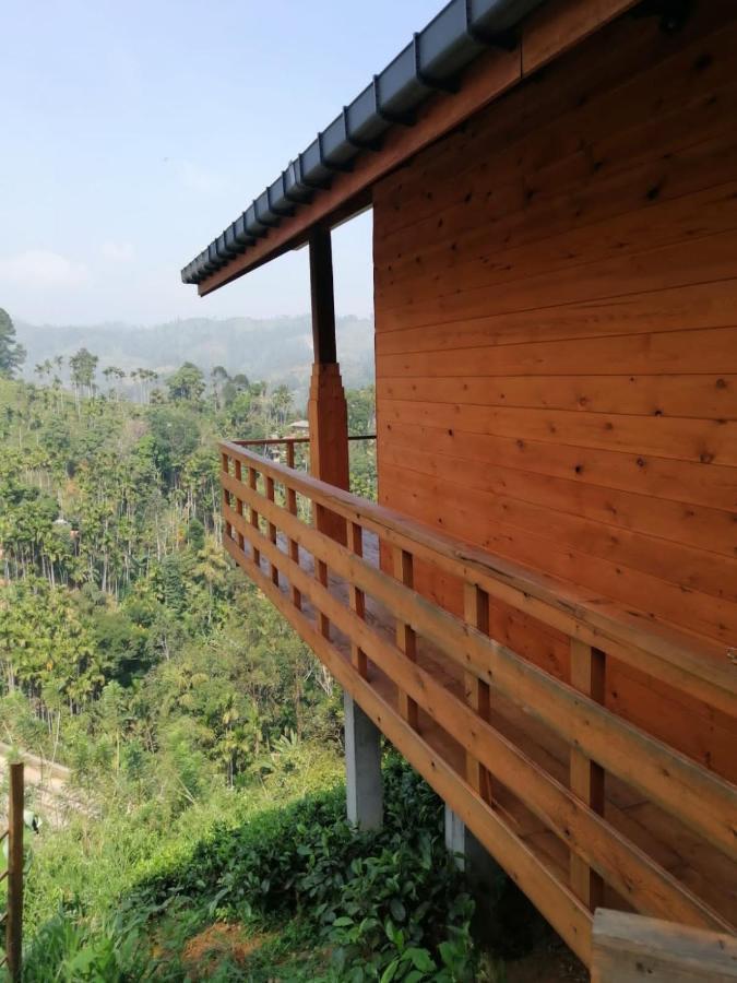 Nature Paradise Hotel 3*
