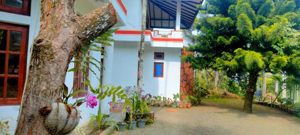 Club Guest house Ella