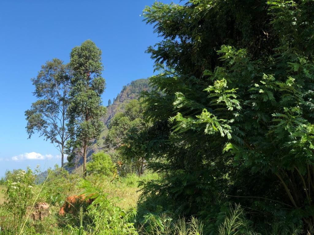 Sudumal Homestay
