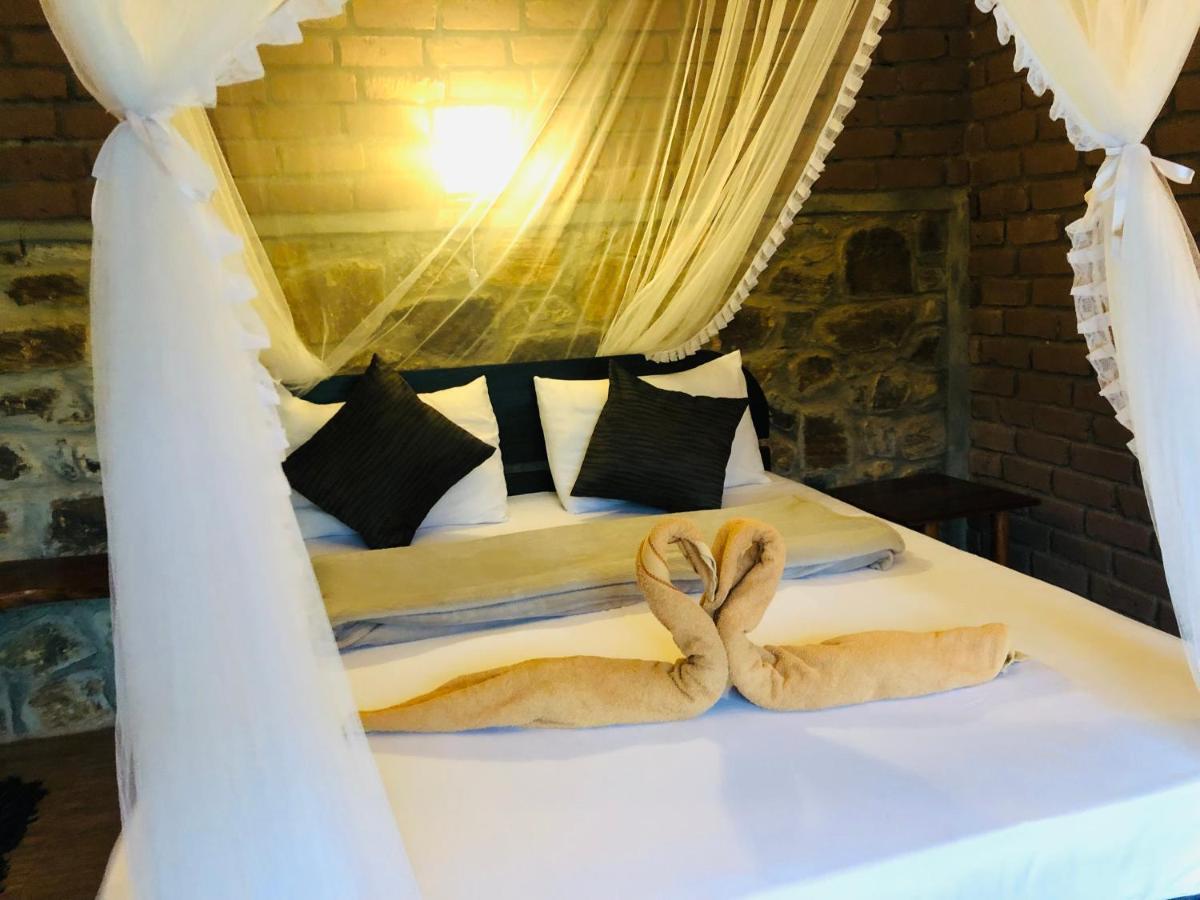 Wild Guest house *