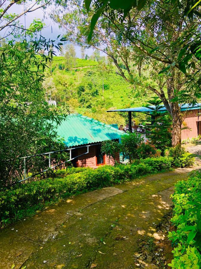 Wild Guest house Ella