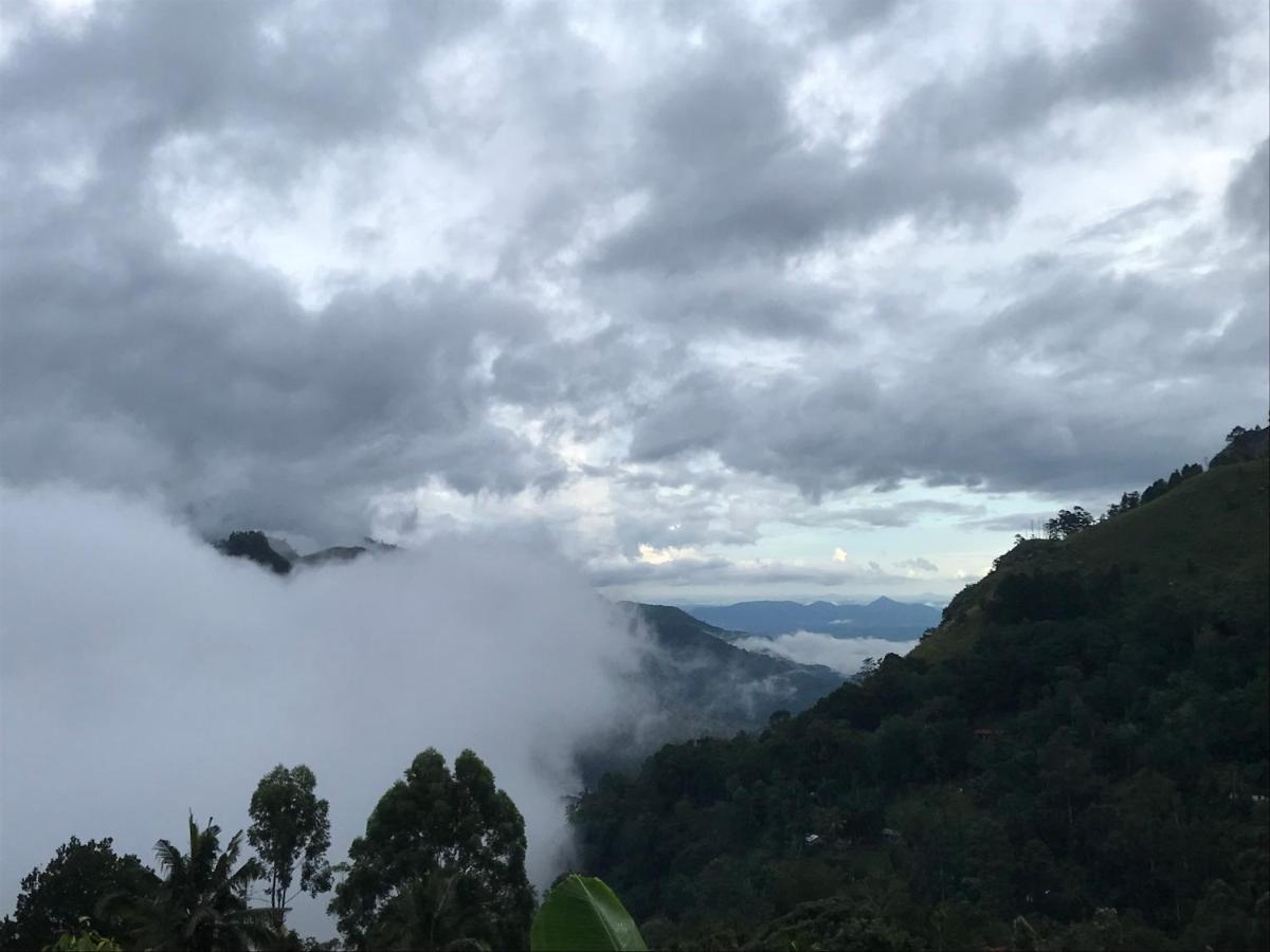 Hide View Hotel