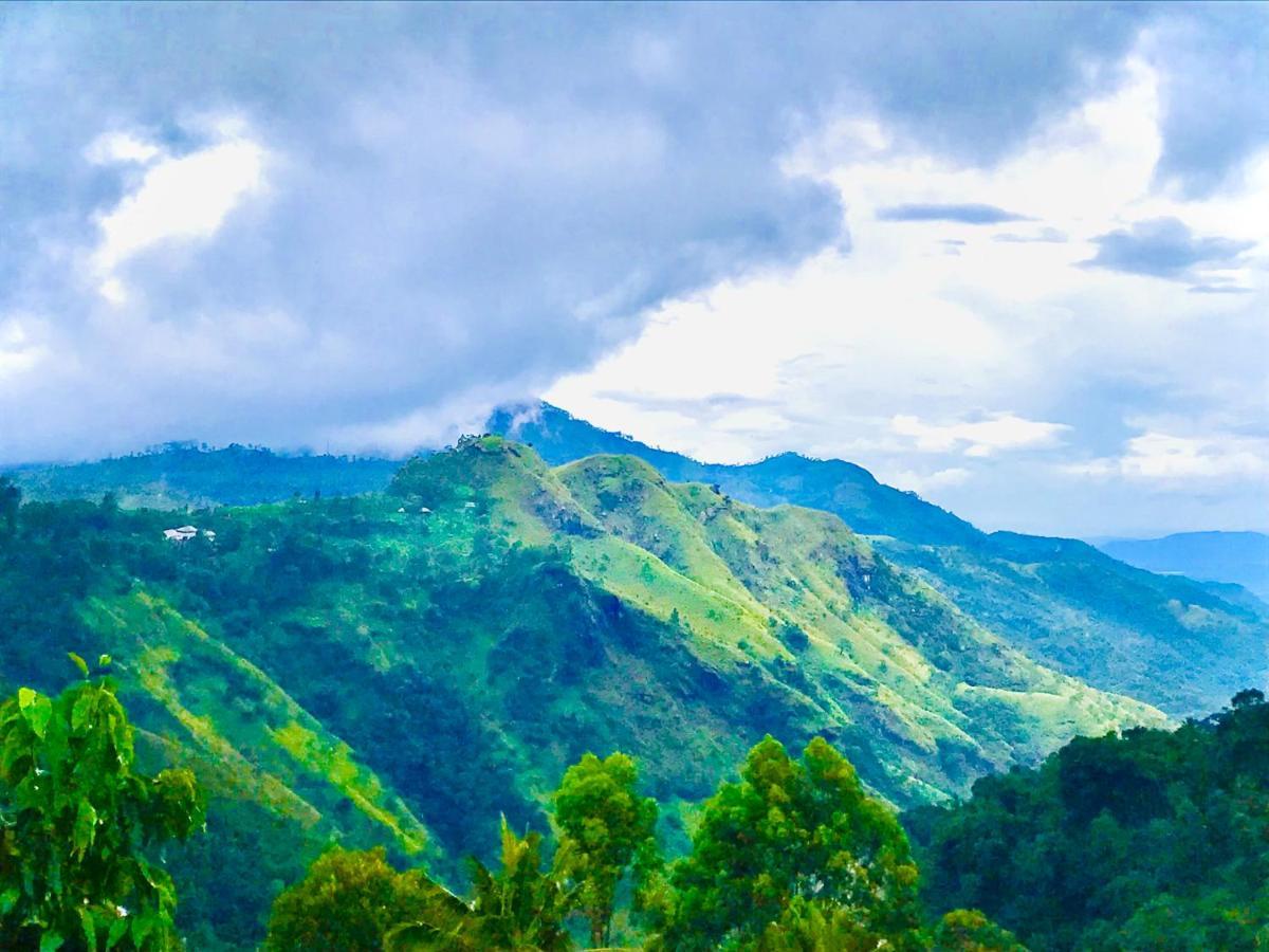 Hide View