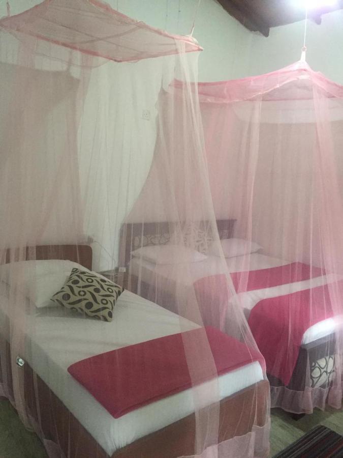 Bed & Breakfast Silent Nest
