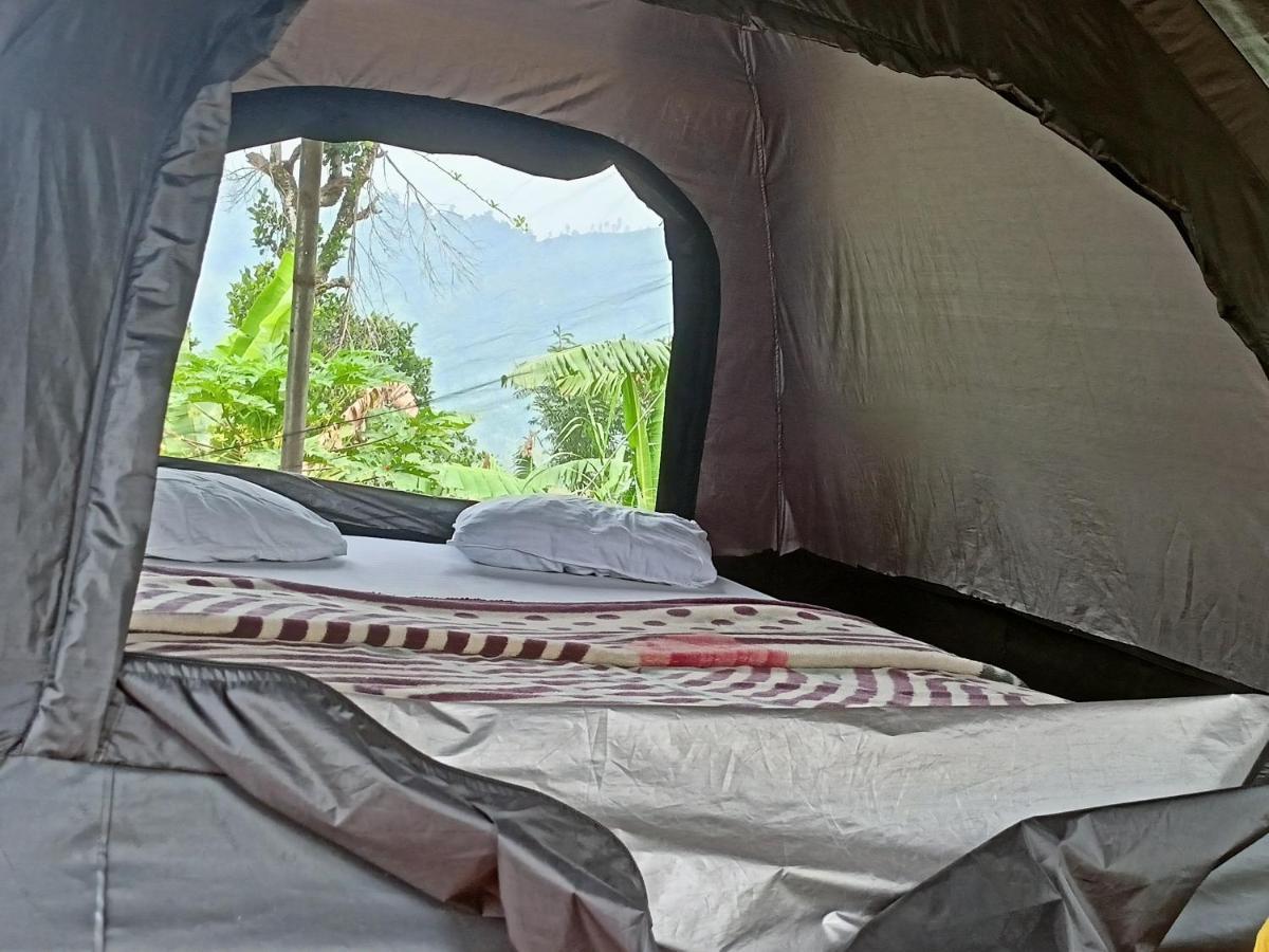 Freedom Camp *