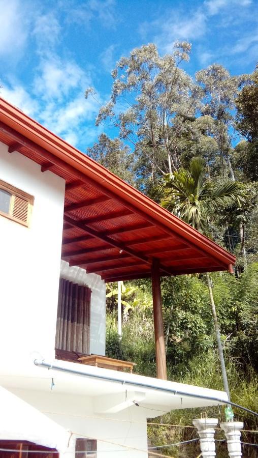 Daban Homestay