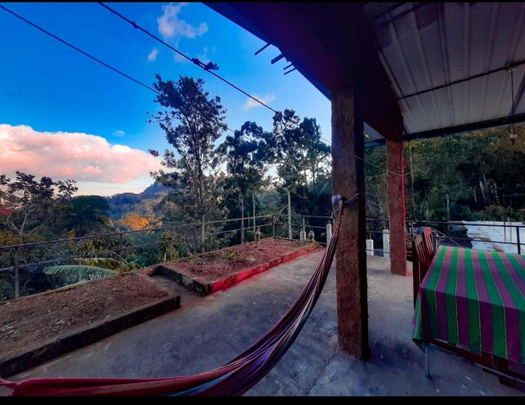 New View Guest house