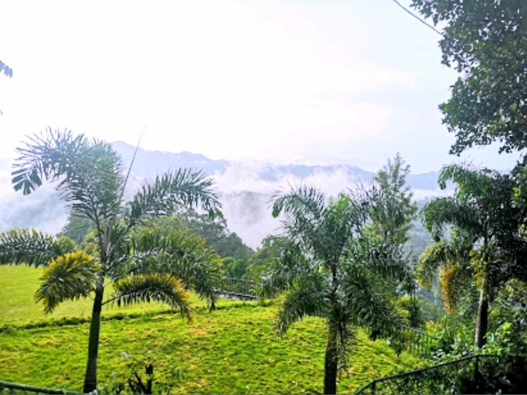 Broad View Homestay Ella