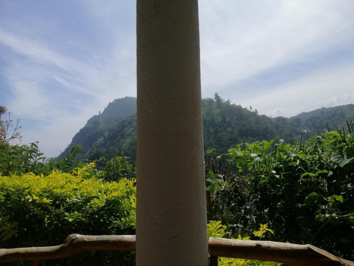 Super View * Ella