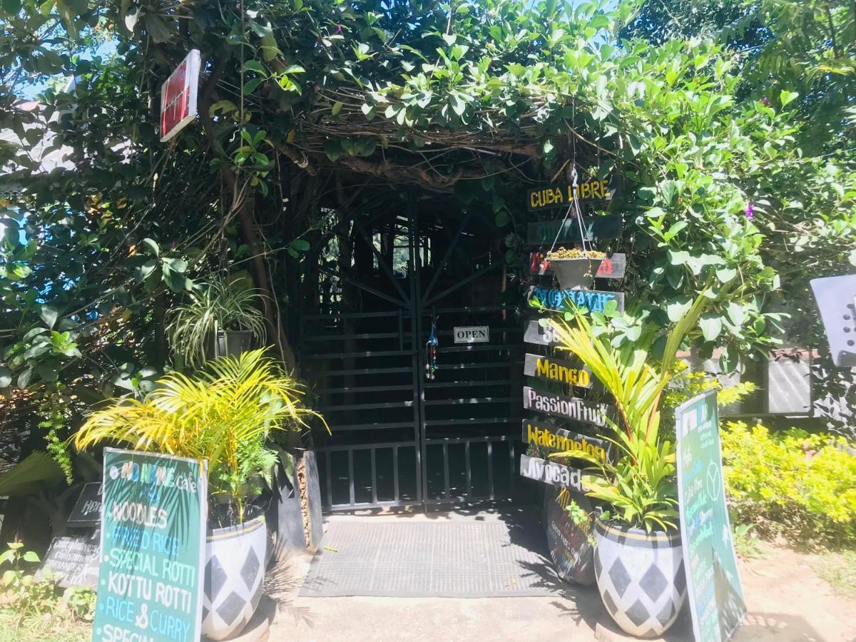 Hostel Noname And Cafe