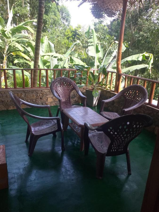 Nature Nest Homestay Ella