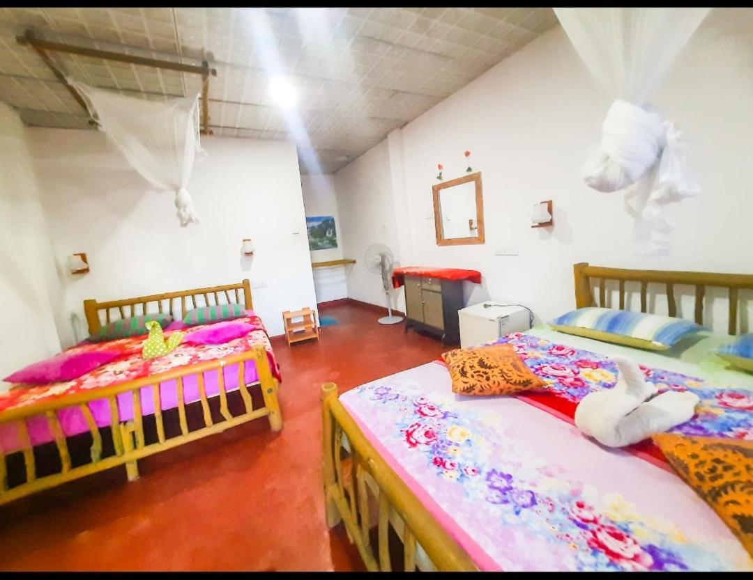 New View Lodge *