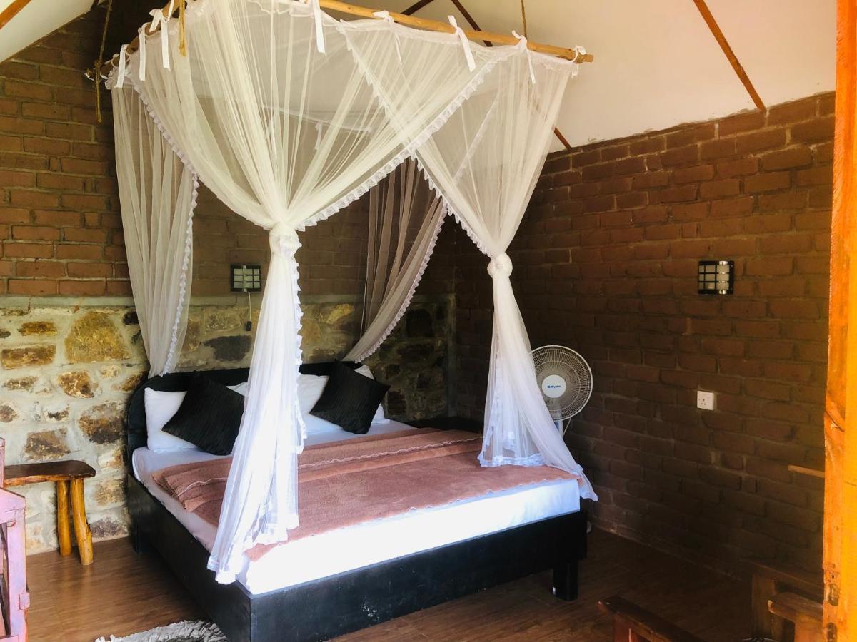 Wild Guest house *