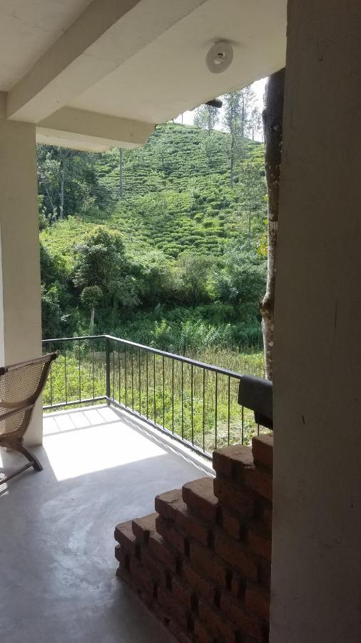 Ayubo - Lodge