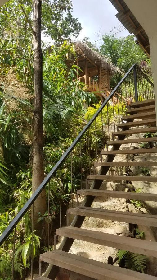 Lodge Ayubo - *