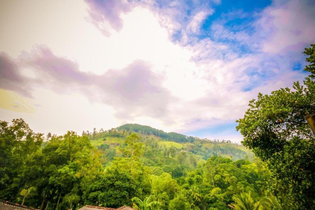 Homestay Mount Pleasant