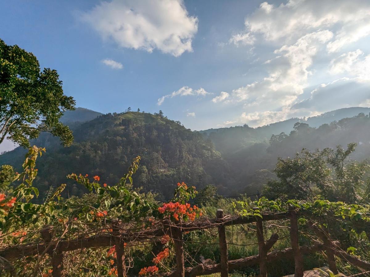 Lavendra Paradise