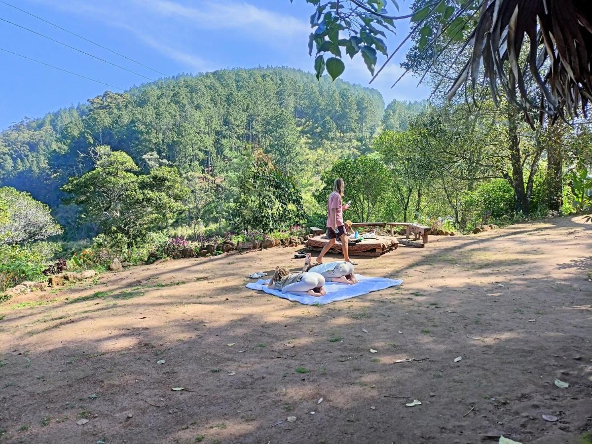 Luxury tent Freedom Camp *