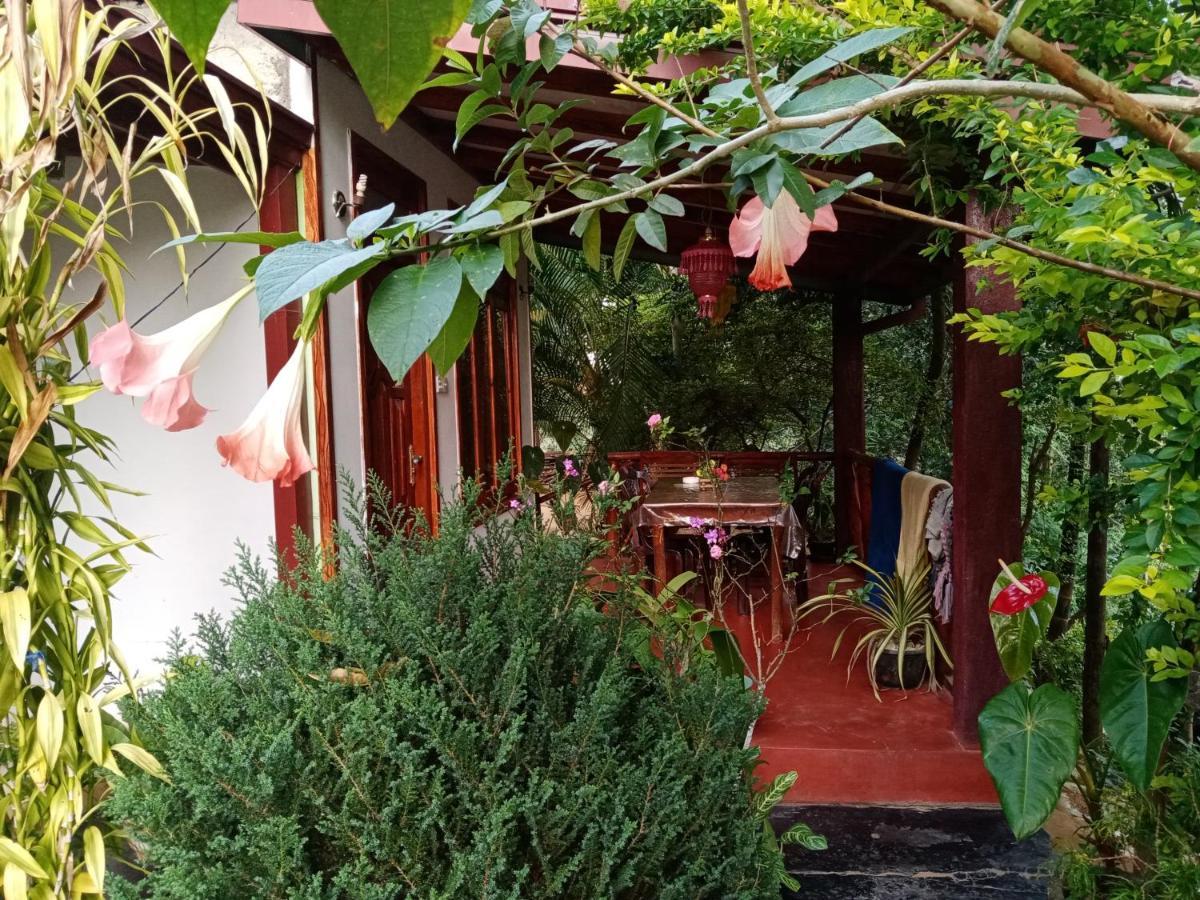 Littleadems View Bed & Breakfast