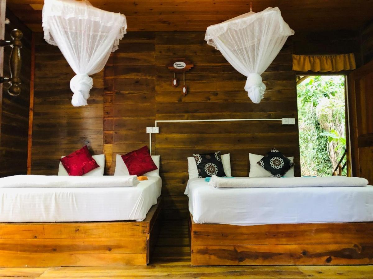 Homestay Nature Nest Ella