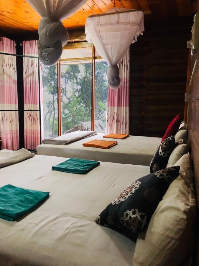 Nature Nest Homestay *