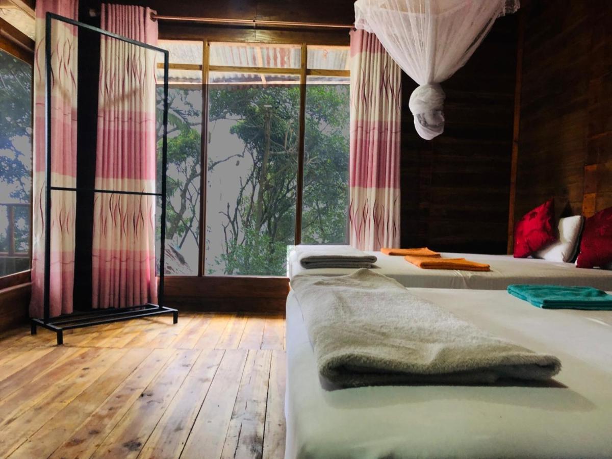 Homestay Nature Nest