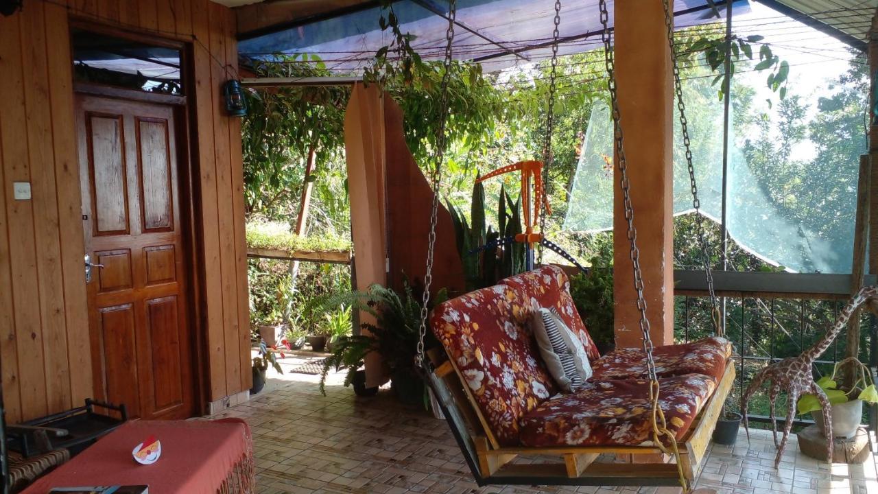 Homestay Secret View