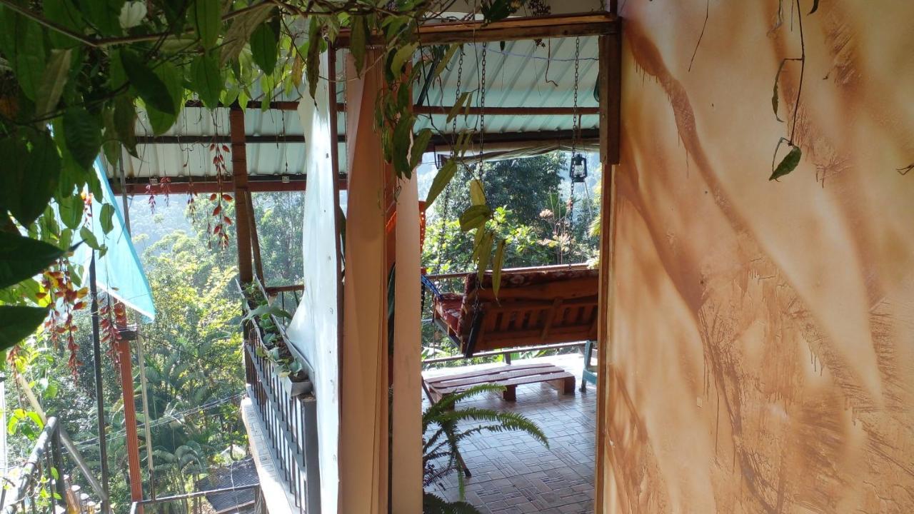 Homestay Secret View