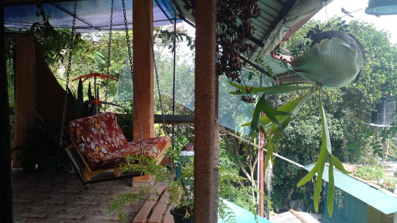 Secret View *