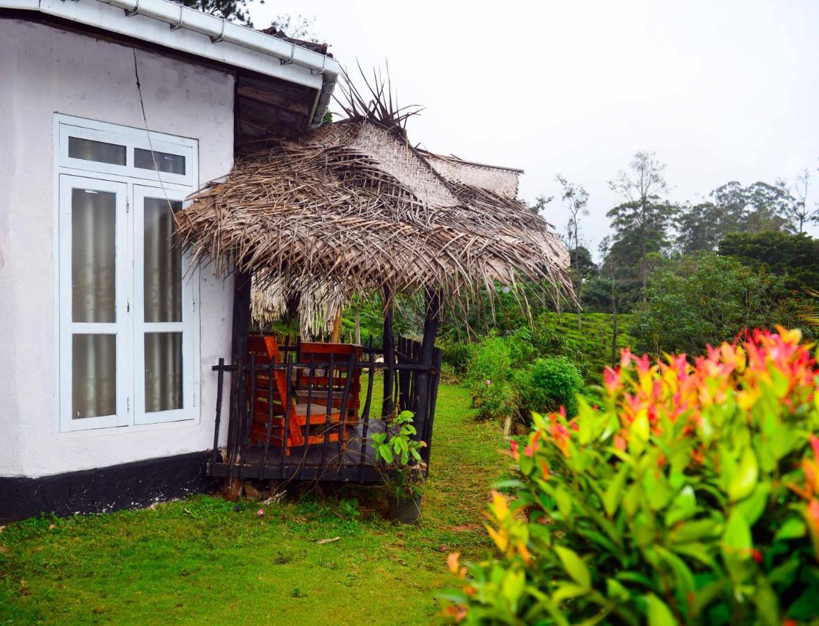 Homestay Nine Arch Retreat Ella