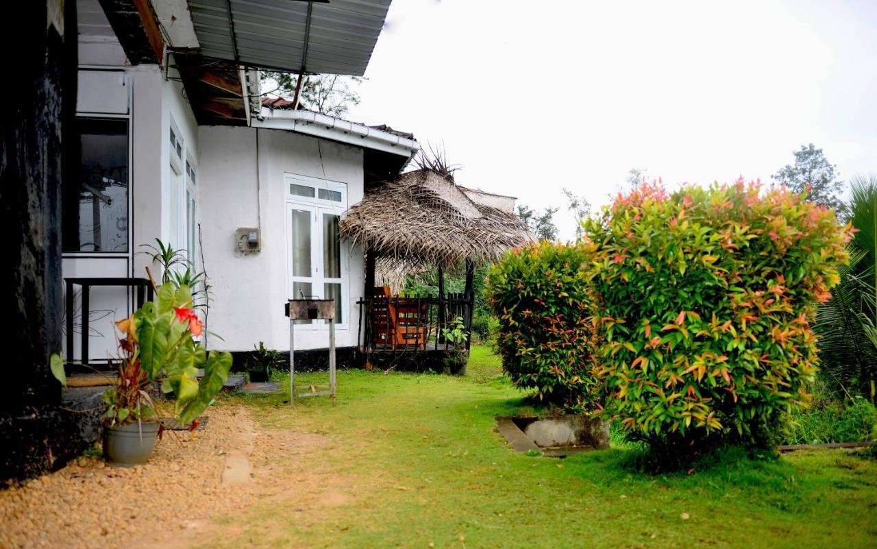 Nine Arch Retreat Homestay