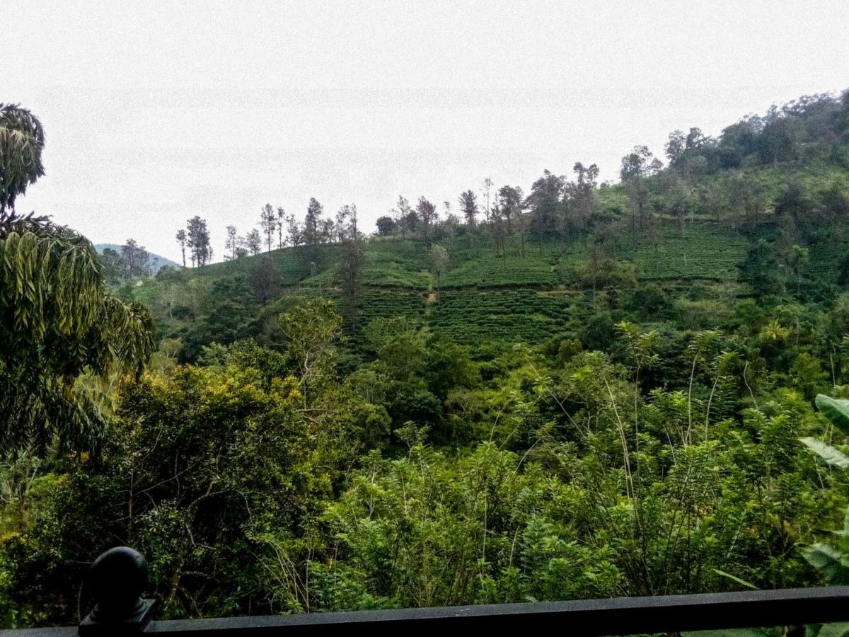 Tea Pick View Guest house *