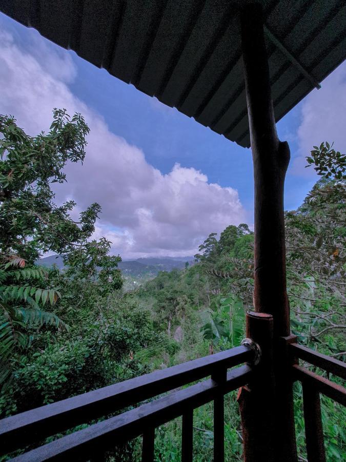 Serene Homestay *
