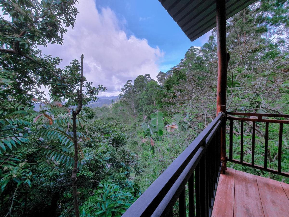 Homestay Serene *