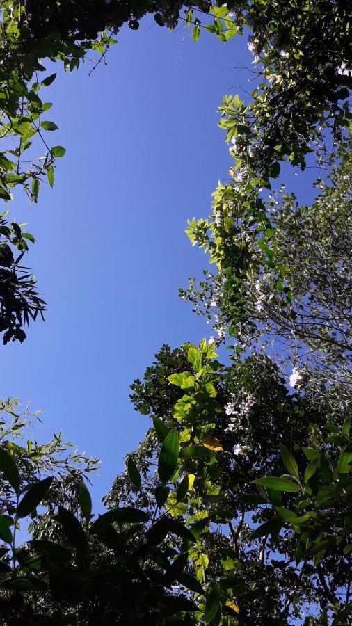 Secret Paradise *
