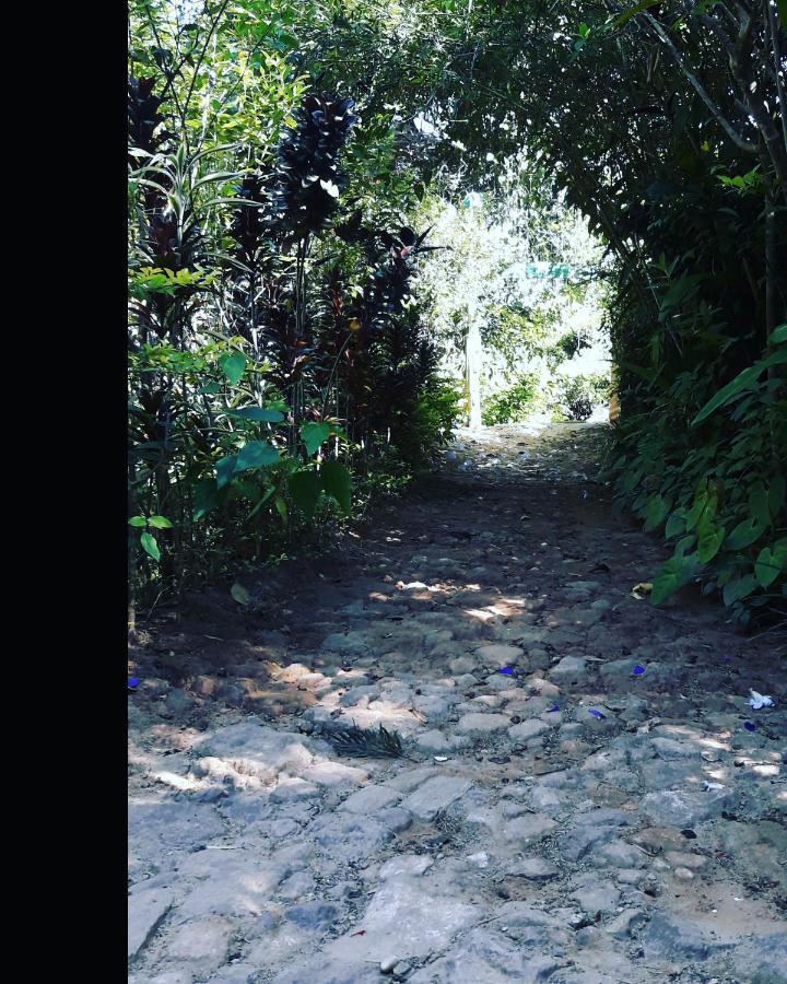 Secret Paradise * Ella
