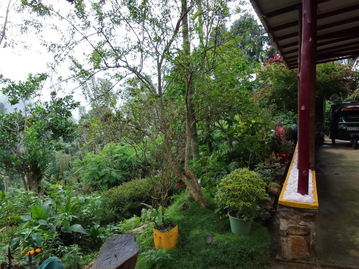 Nature's Rest