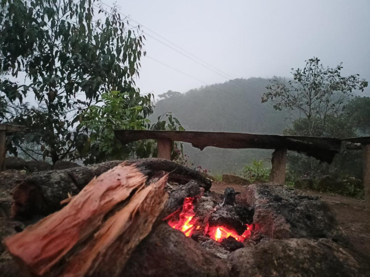 Freedom Camp