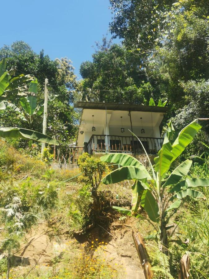 Bella Homestay *