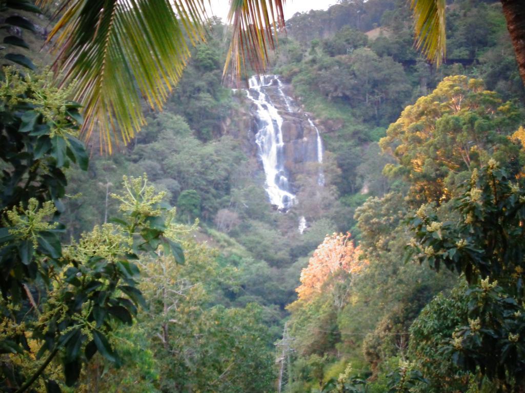 Homestay Brilliant View