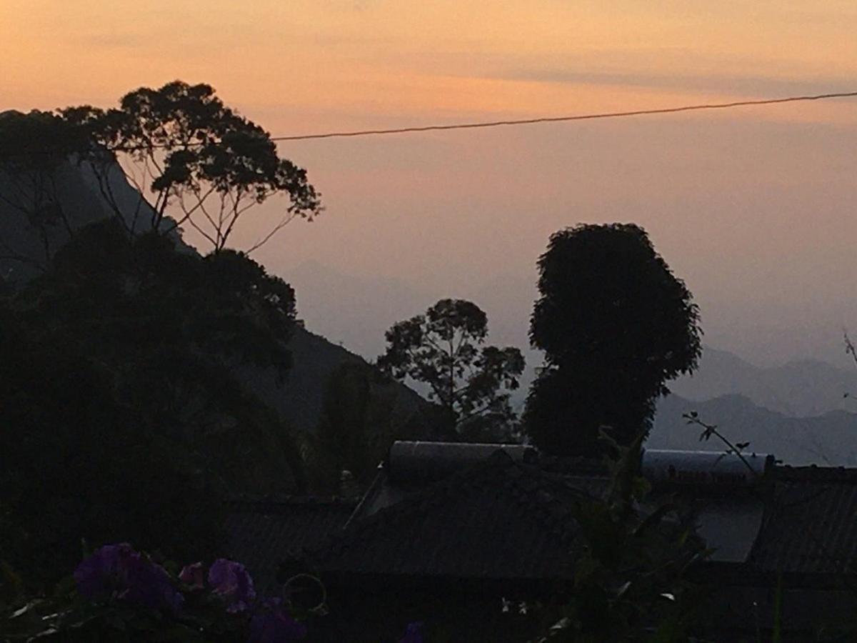 View *