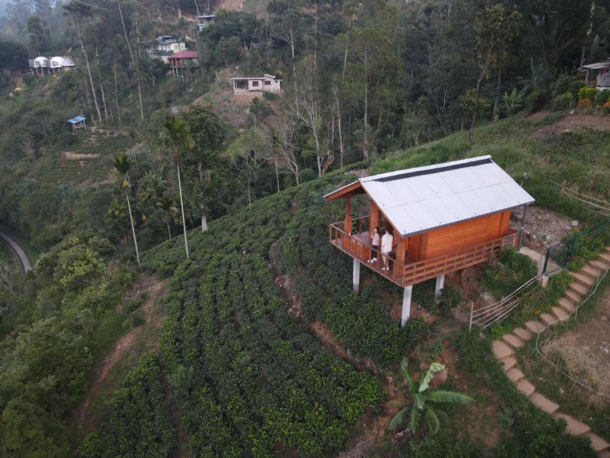 Nature Paradise Hotel Ella