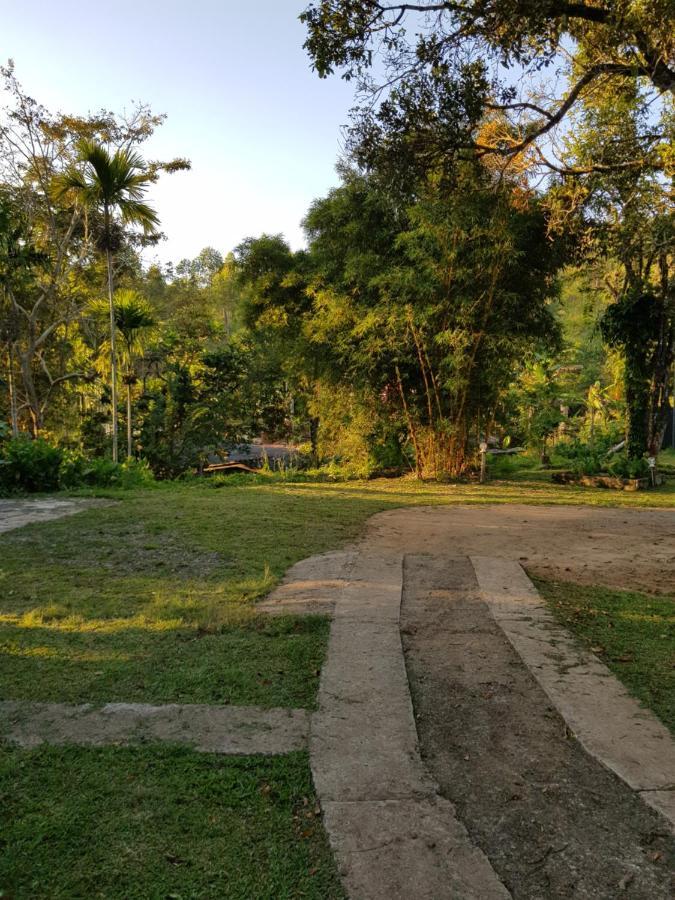 Forest Paradise Hotel